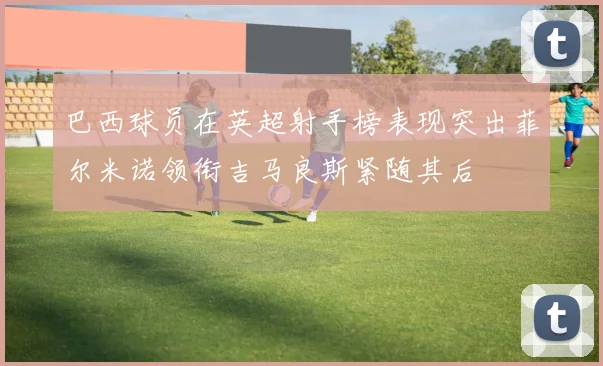 巴西球员在英超射手榜表现突出菲尔米诺领衔吉马良斯紧随其后
