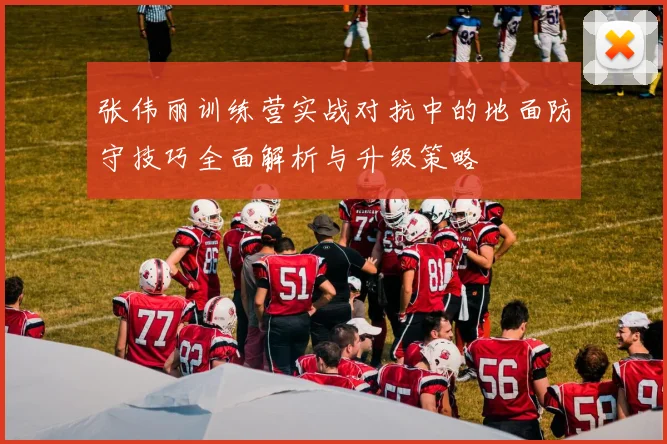 张伟丽训练营实战对抗中的地面防守技巧全面解析与升级策略