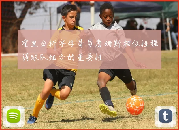 霍里分析字母哥与詹姆斯相似性强调球队组合的重要性